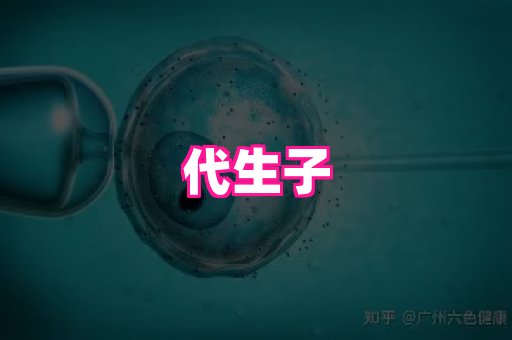 nub孕网 2